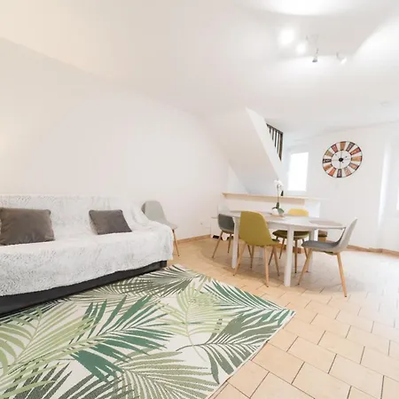 דירה Ravissant Triplex Et Duplex Au Centre De St Esprit