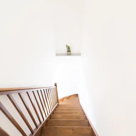 Ravissant Triplex Et Duplex Au Centre De St Esprit Appartement