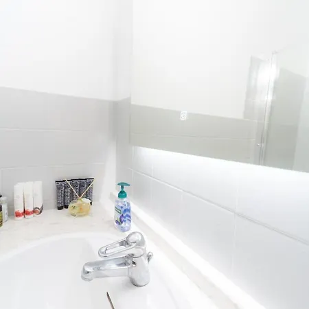 Ravissant Triplex Et Duplex Au Centre De St Esprit Appartement