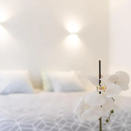 Ravissant Triplex Et Duplex Au Centre De St Esprit Appartement