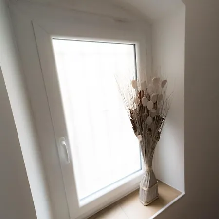 Ravissant Triplex Et Duplex Au Centre De St Esprit Appartement *